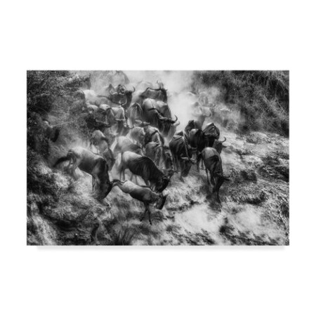 Trademark Fine Art Mohammed Alnaser 'Cluster Charge' Canvas Art, 16x24 1X07570-C1624GG
